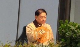 王宝强爆料刘斌视频,真相大白引热议