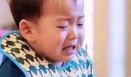 娱乐吃瓜酱爸妈,揭秘明星家庭背后的故事