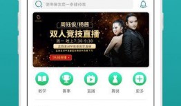 舞蹈爆料视频原创网站,舞动潮流的幕后力量